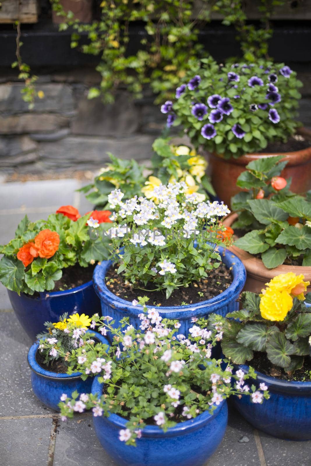 Selection of colorful blue garden pots by sanisra