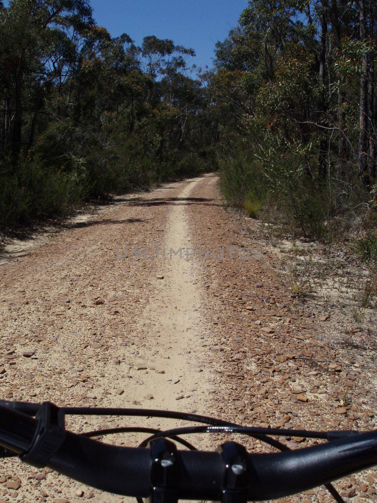 riders point of view - mountain bike ride along a dirt track