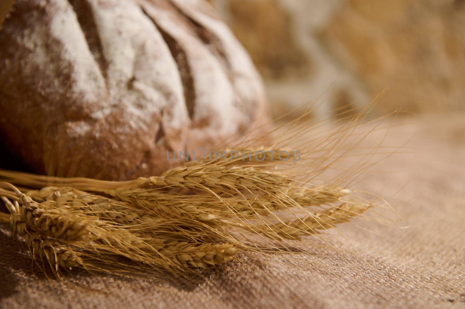 Selective focus on spikelets of wheat and blurred homemade whole grain freshly baked bread on table covered with burlap by artgf