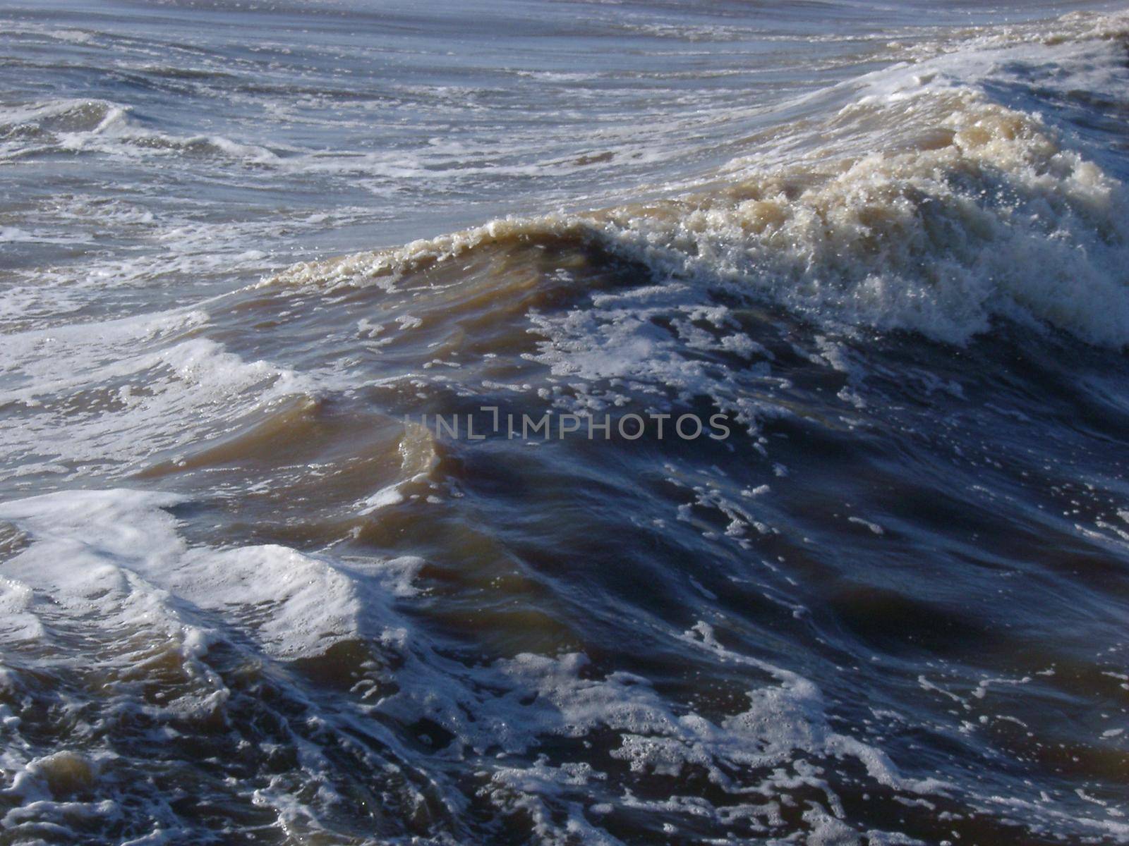 dirty brown looking sea water, concept: pollution