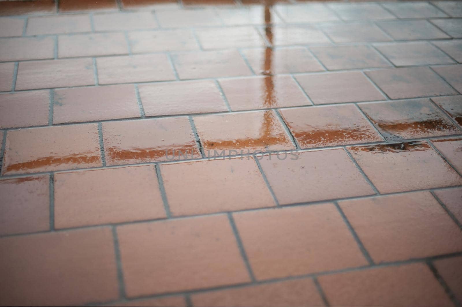 Architectural Detail of Reflection in Wet Outdoor Patio Tiles in the Rain