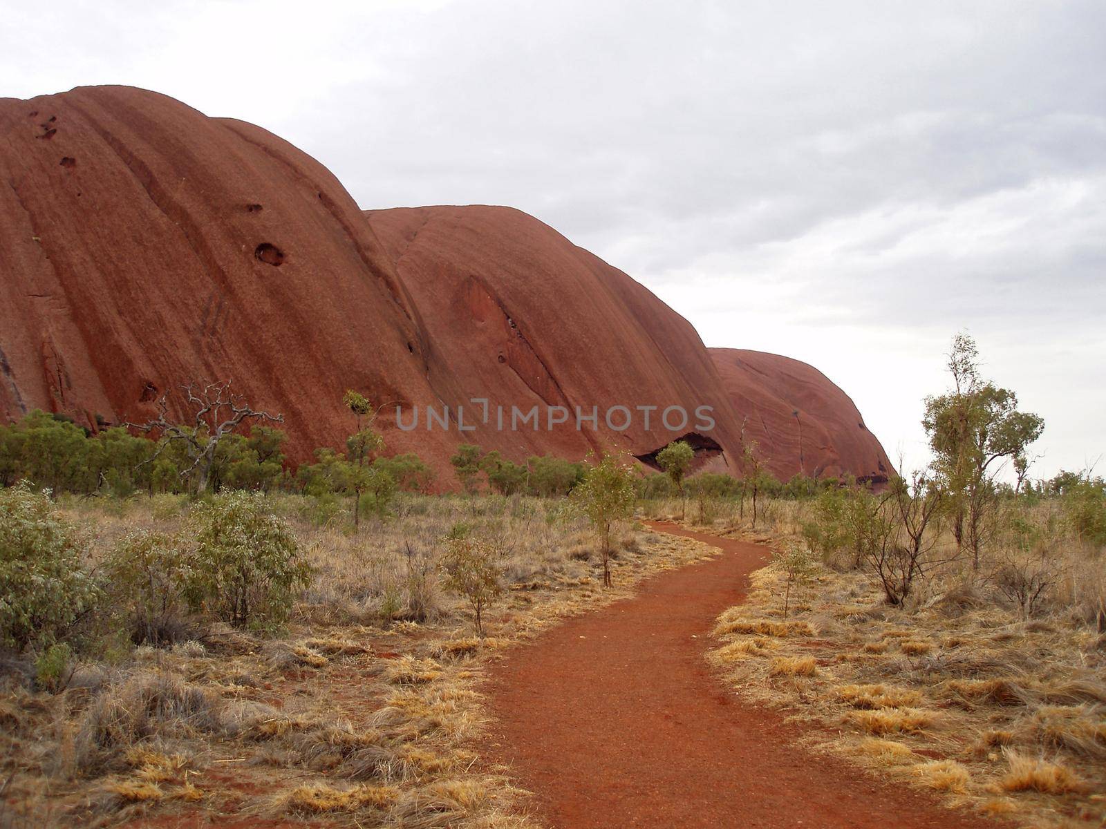 Close up view of Uluru-Ayers Rock, Australia a sandstone formation sacred to the Anangu, the Aboriginal people of the area and UNESCO World Heritage Site