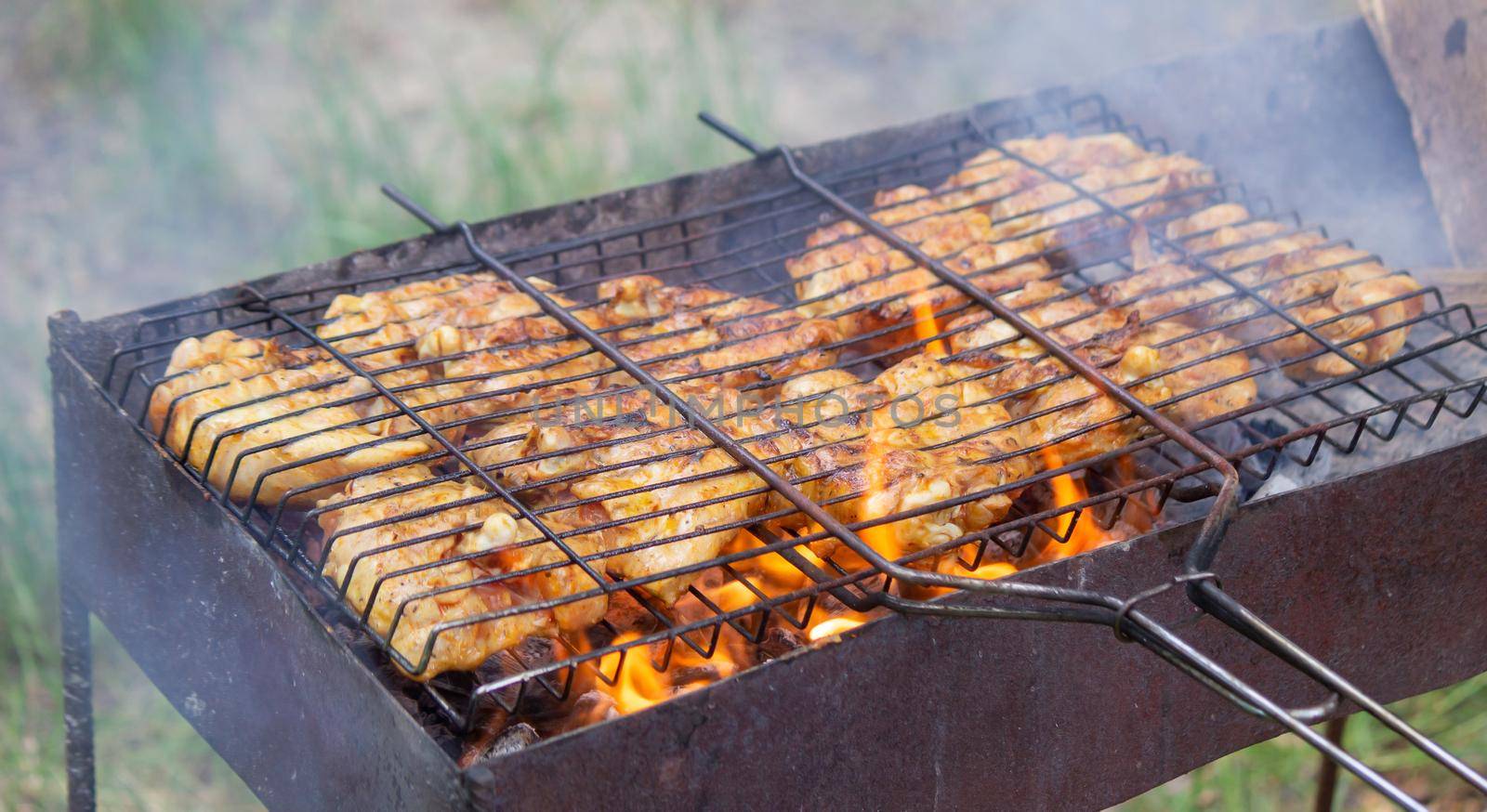 fry chicken skewers on the grill. Picnic in nature. selective focus