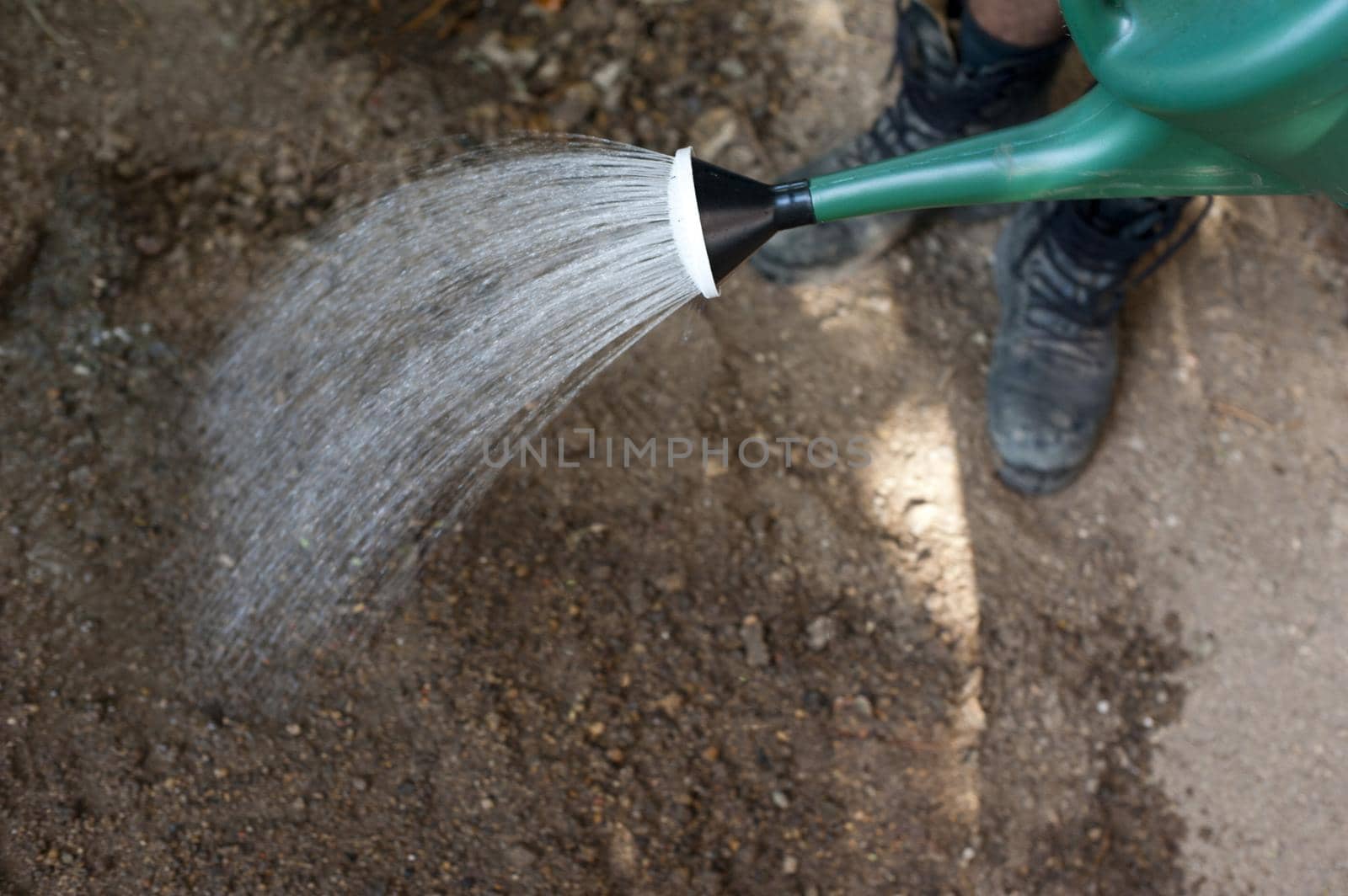 Person standing watering newly planted spring seeds with a watering can , high angle view of the spout of the can and spray of water