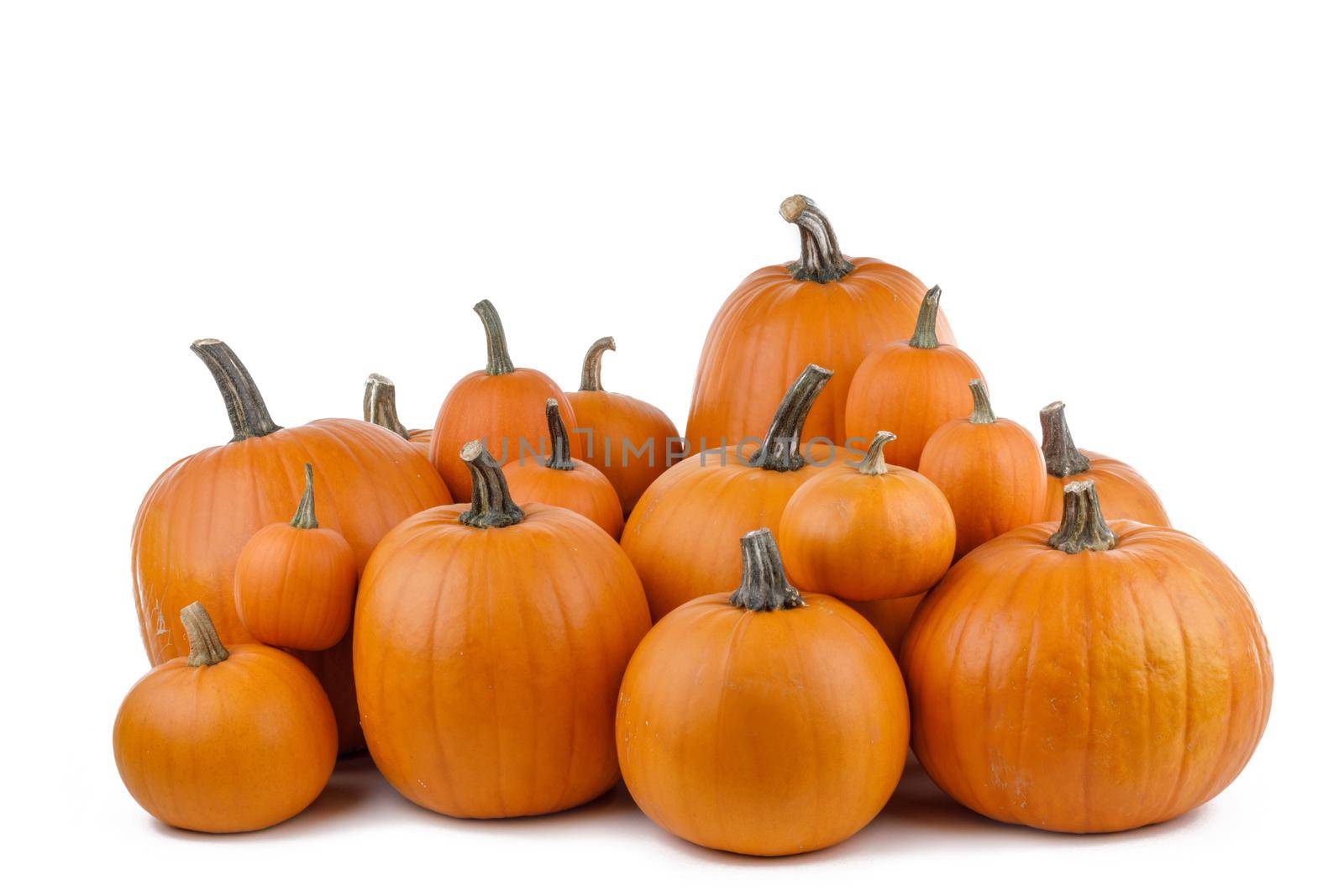 Heap of many orange pumpkins isolated on white background, Halloween day celebration concept, autumn harvest