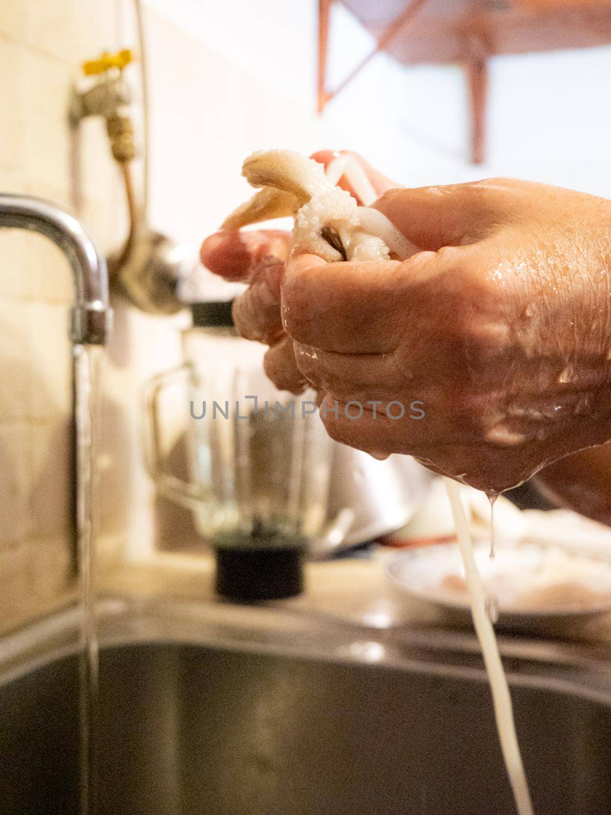 cleaning a raw adriatic cuttlefish at home in Numana, Marche, Italy