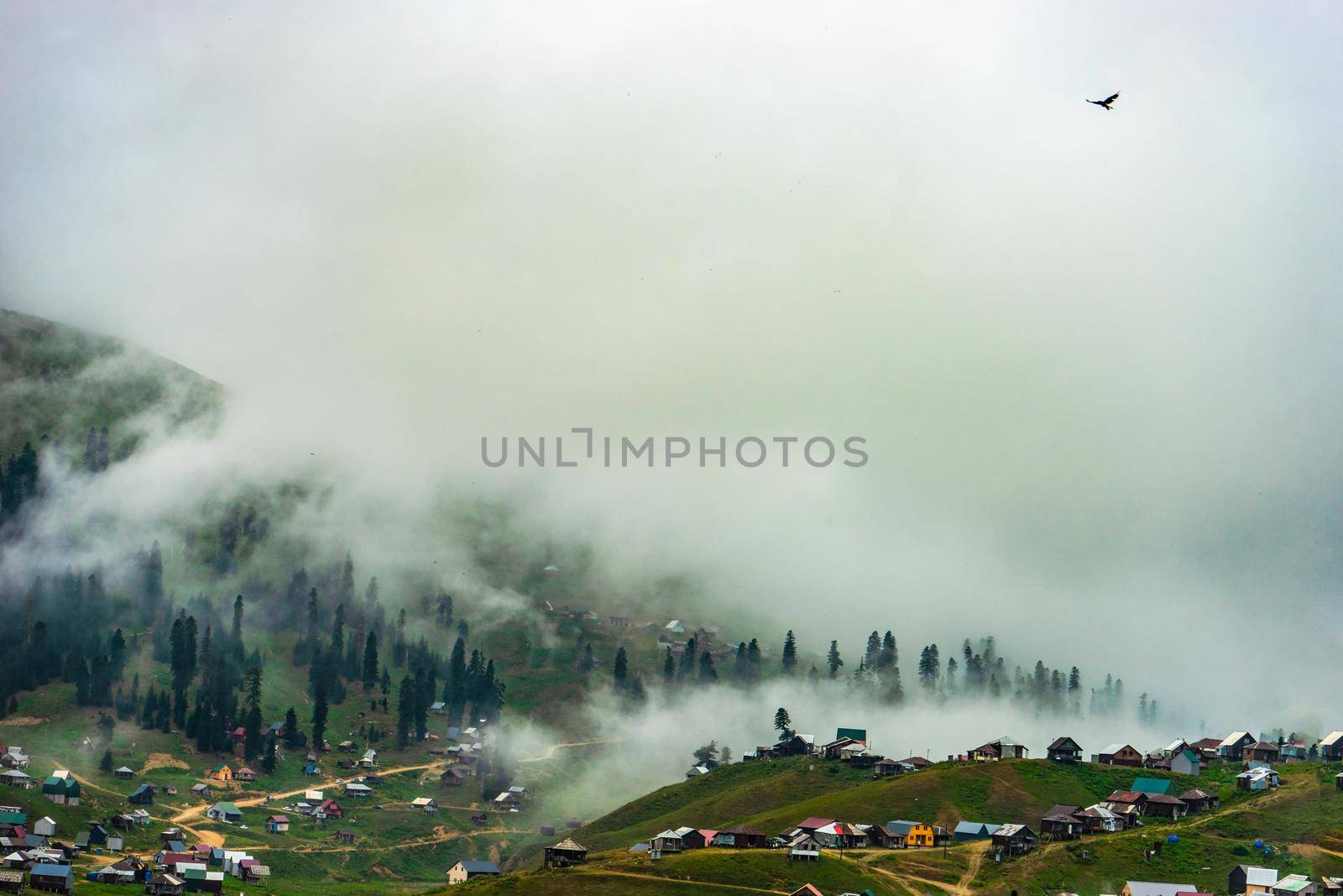 Traditional old wooden houses of Bakhmaro resort in georgian region Guria in foggy morning