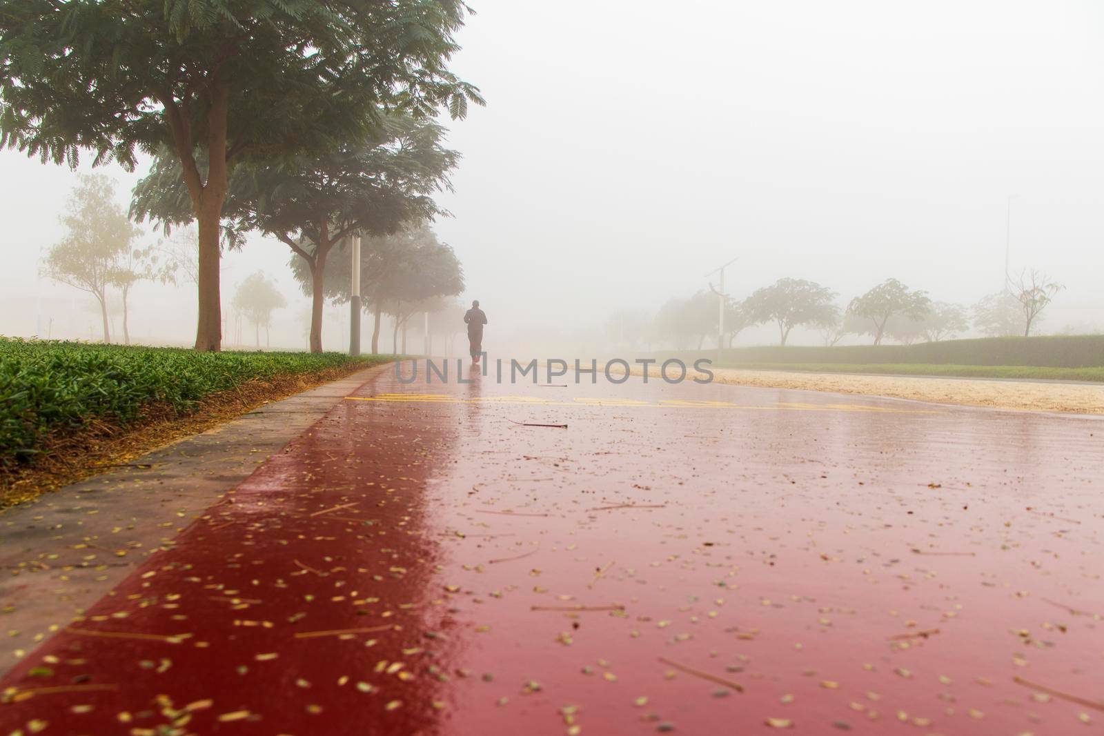 Jogging and cycling tracks on foggy morning in the park.