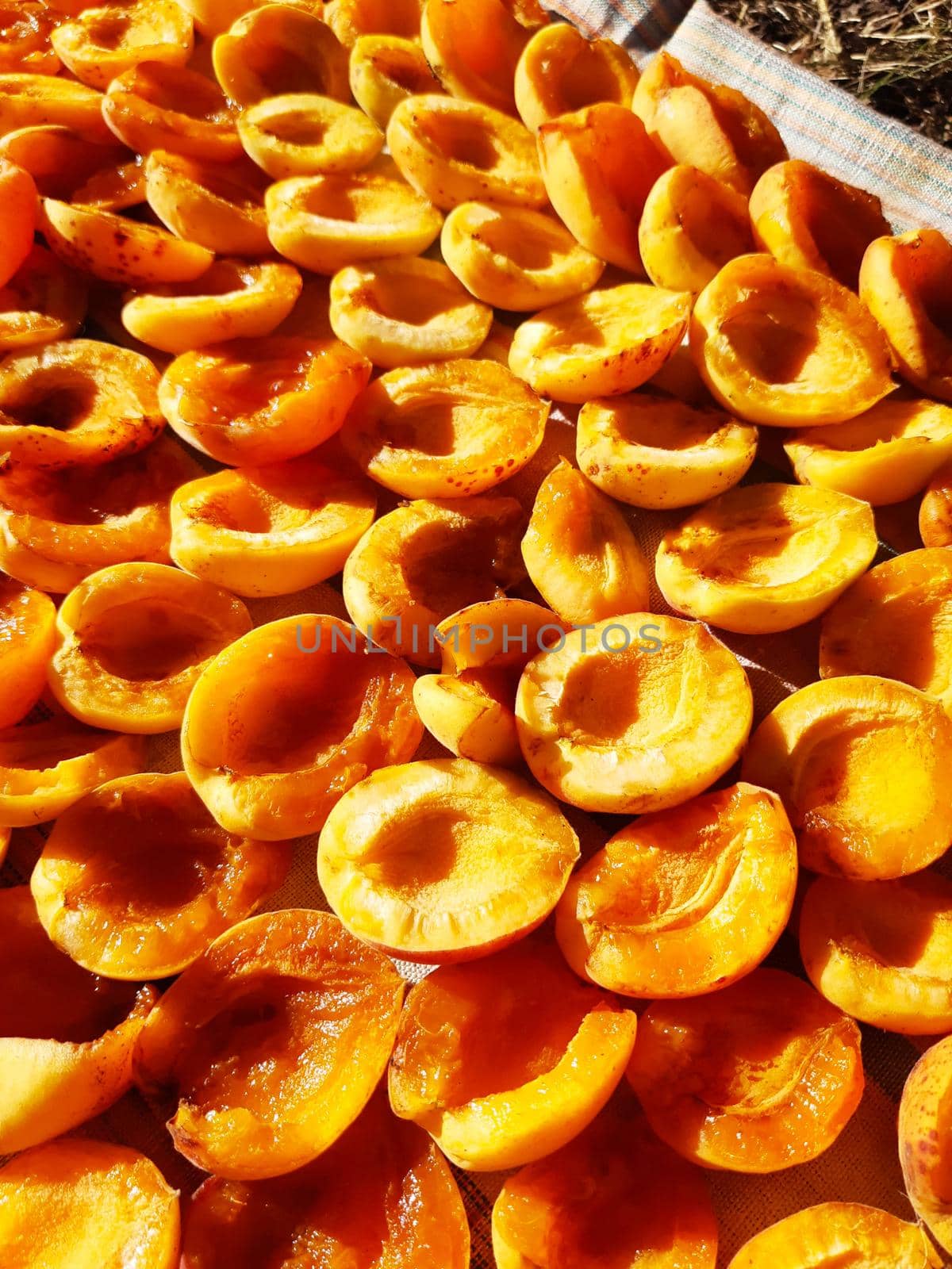 Juicy yellow-orange apricot slices lie in the sun close-up.