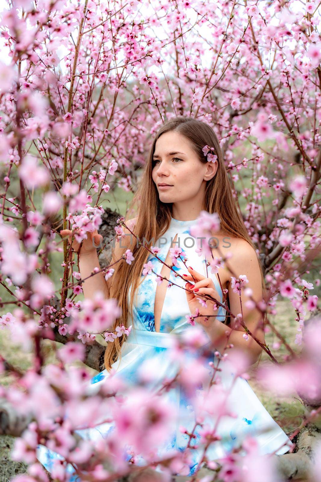 Young beautiful woman in blue dress and long hair is enjoying with blossoming peach trees by Matiunina