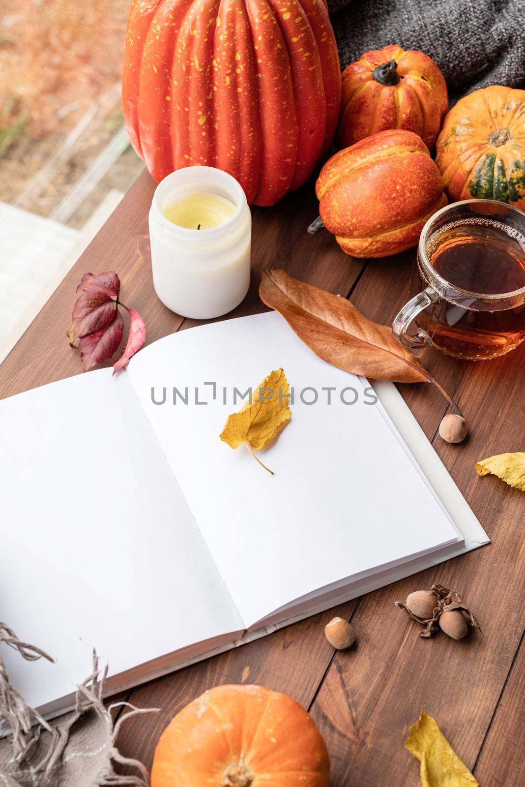 Hello fall. Cozy warm image. Cozy autumn composition, sweater weather. Pumpkins, hot black tea , sweaters and opened blank book with leaves