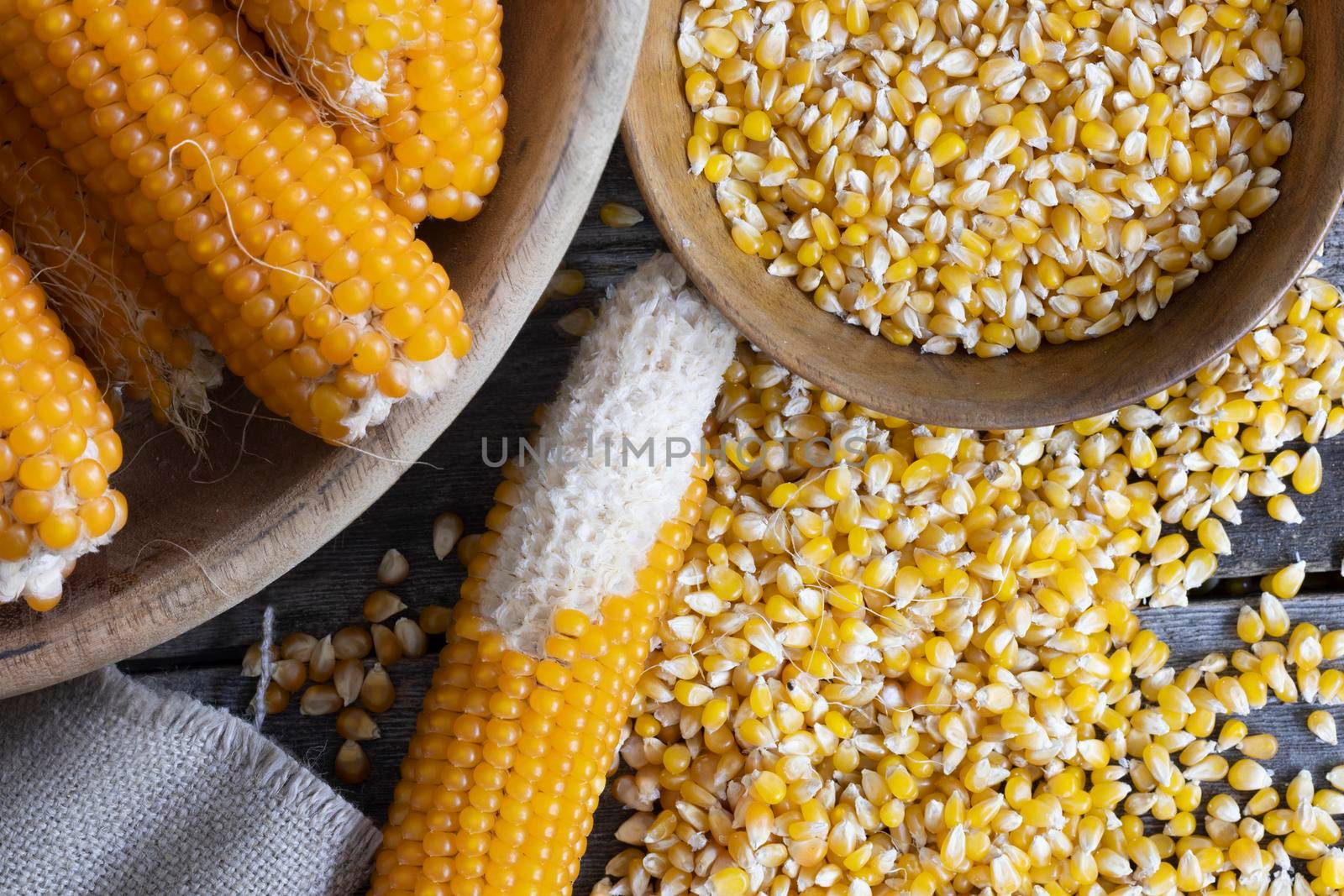 Harvesting popcorn from the cob flat lay with kernels and cobs in wooden bowls and on table.