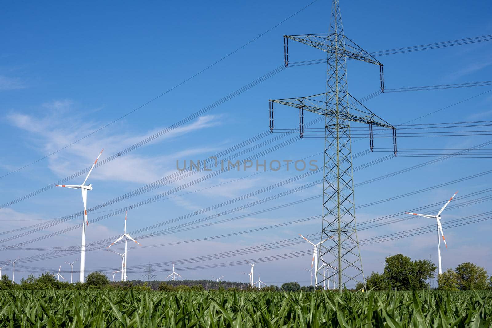 Electricity pylons, power lines and wind turbines by elxeneize
