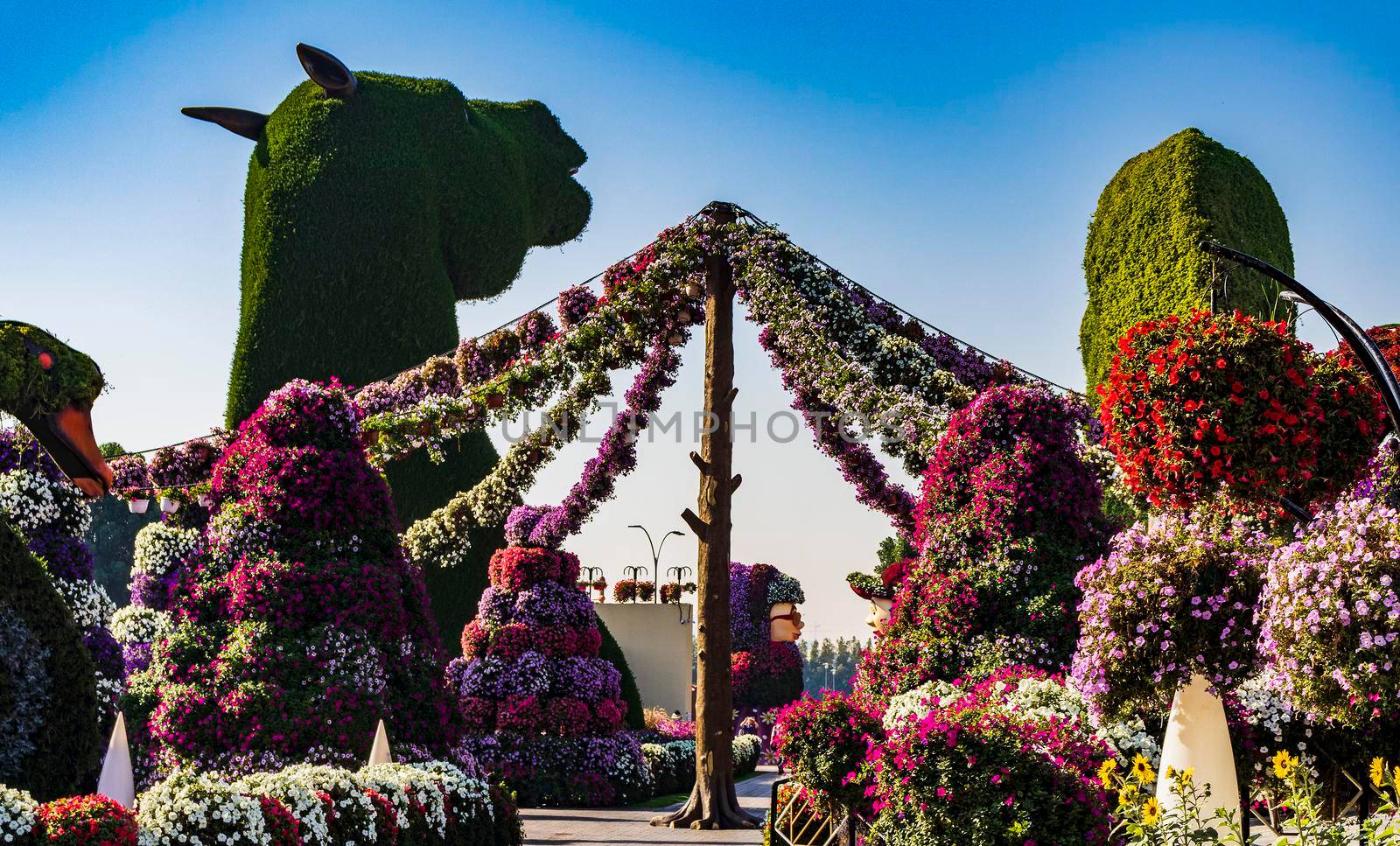 Dubai, UAE - 03.06.2020 Flower and landscaping installations in Dubai miracle garden.
