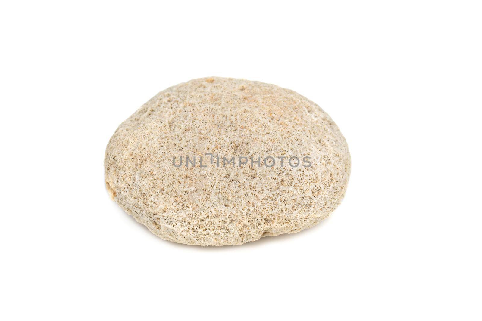 Image of coral cubes on a white background. Undersea Animals.