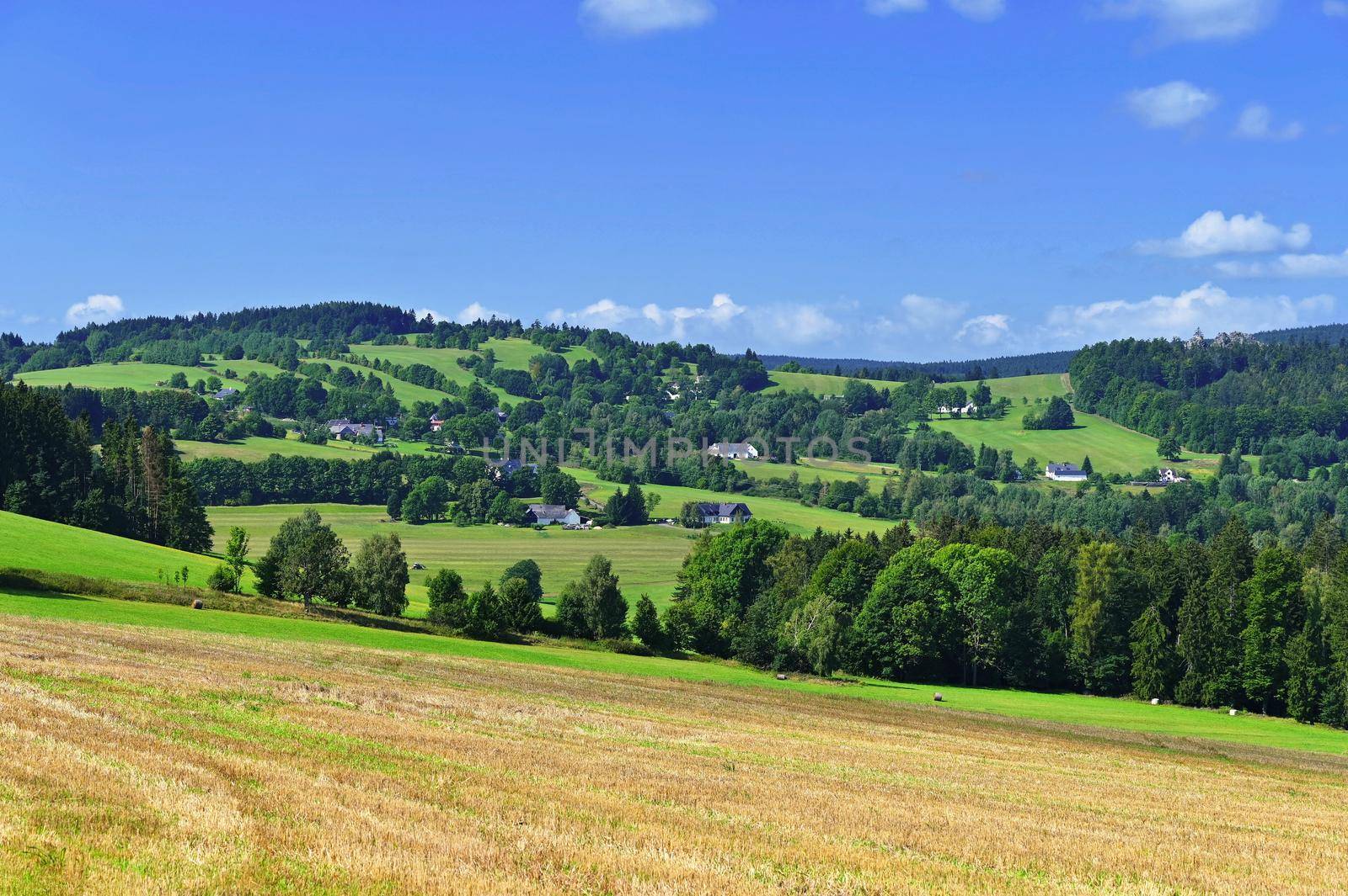 Beautiful summer landscape with nature. Meadow with forest and blue sky on a sunny day. Highlands - Czech Republic.