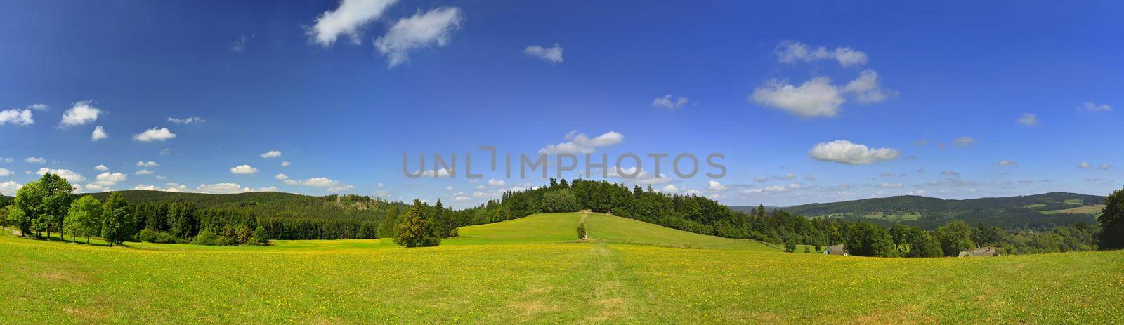 Beautiful summer panorama landscape with nature. Meadow with forest and blue sky on a sunny day. Highlands - Czech Republic by Montypeter