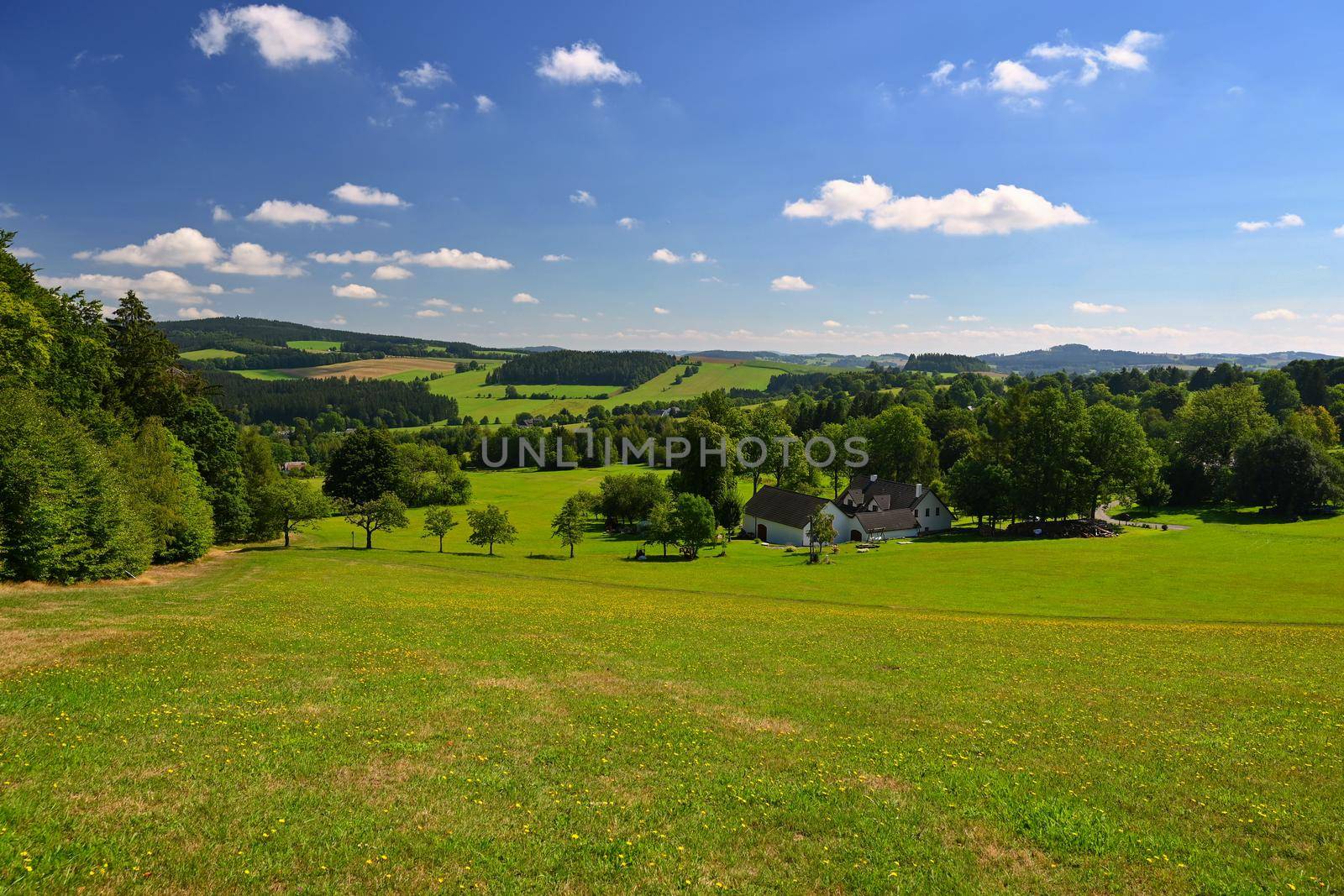 Beautiful summer landscape with nature. Meadow with forest and blue sky on a sunny day. Highlands - Czech Republic.