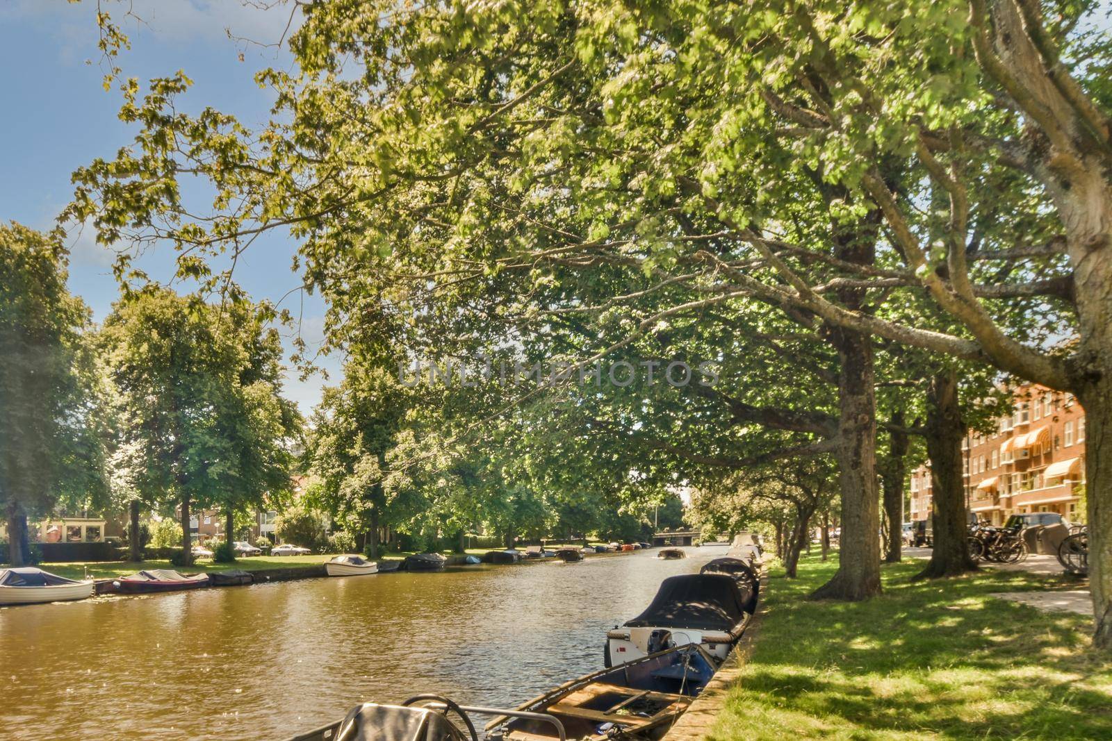 View of street near building with beauty of vegetation and river