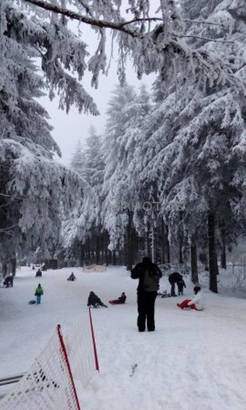 snow-covered descent from the mountain for sledding in the snow-covered forest on the Wasserkuppe mountain in Hesse High quality photo