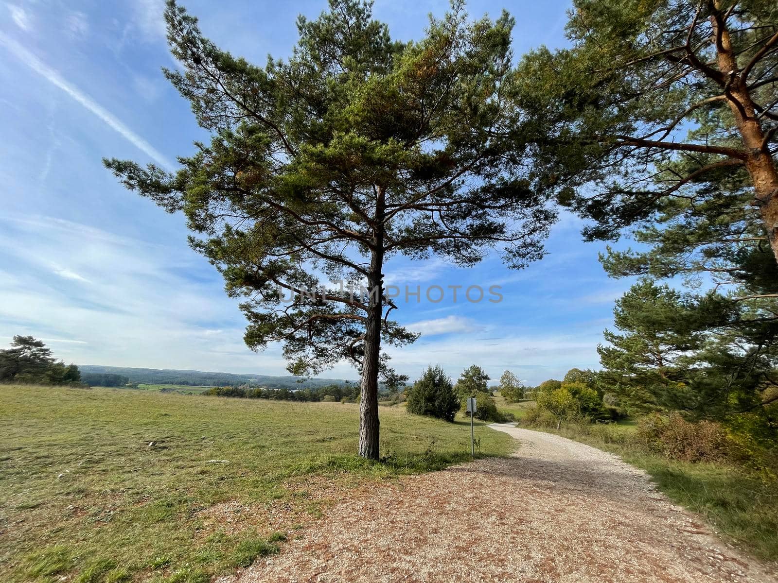 blue clear sky with rare white feathery clouds over a field road with a couple of trees by Costin