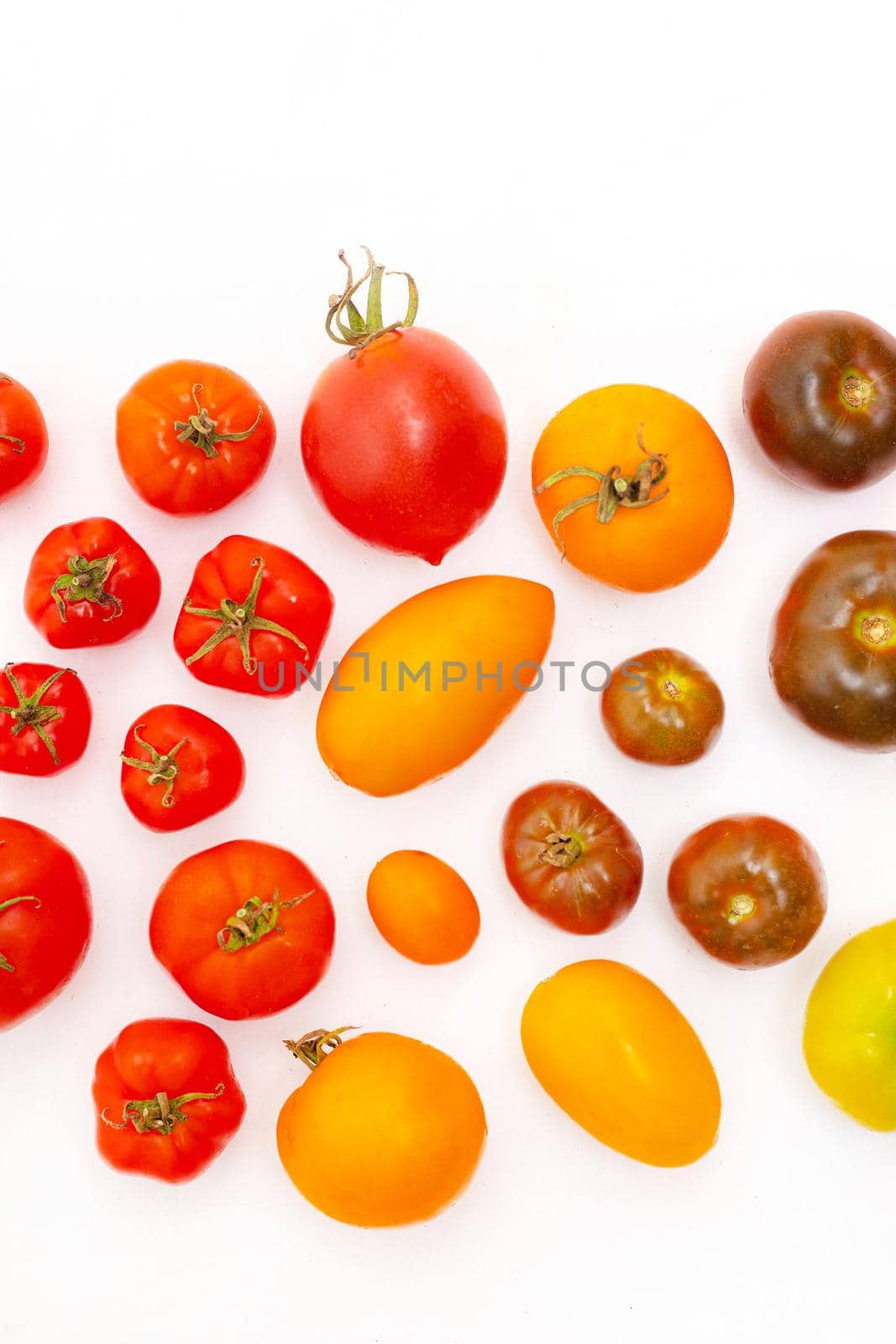 Assorted tomatoes on a white background . Tomatoes copyspace . Homemade vegetables . Article about vegetables