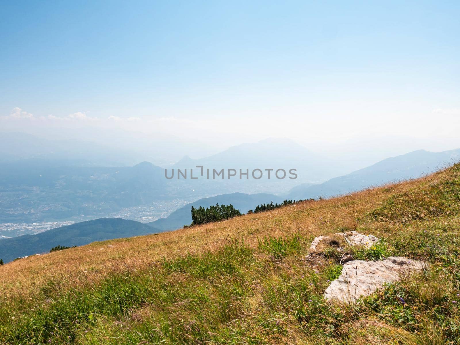 Summer meadow close to peak of Gazza mountain, Dolomite Alps. Amazing wild nature. Vezzano region, Trentino, Italy
