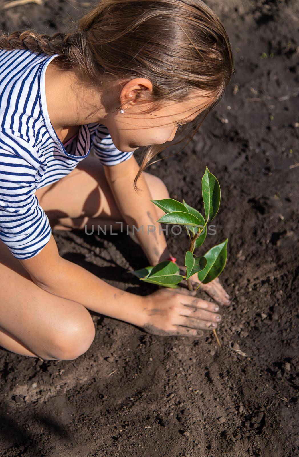 The child is planting a plant in the garden. Selective focus. Kid.