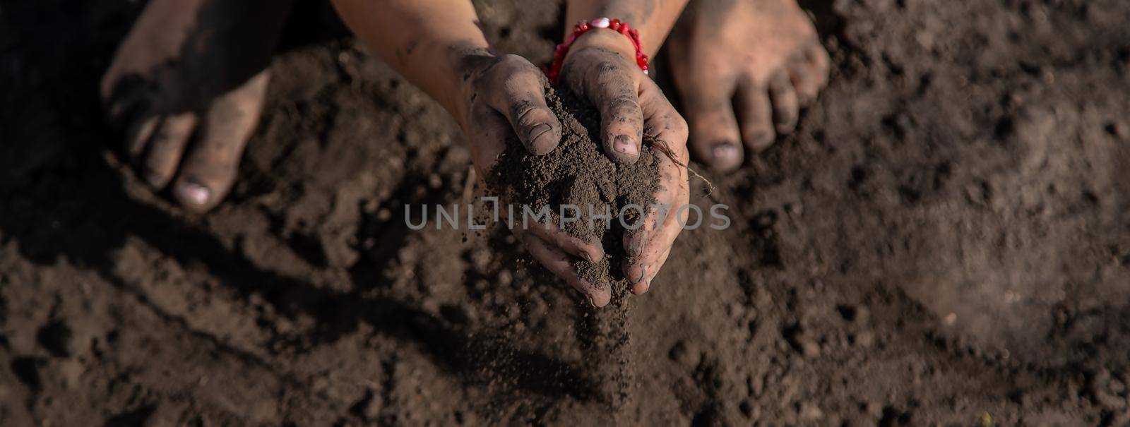 The child holds soil in the garden. Selective focus. by yanadjana