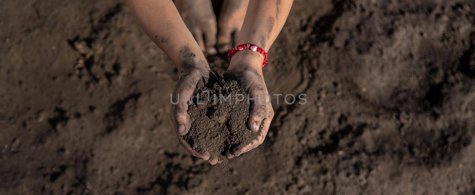 The child holds soil in the garden. Selective focus. kid.