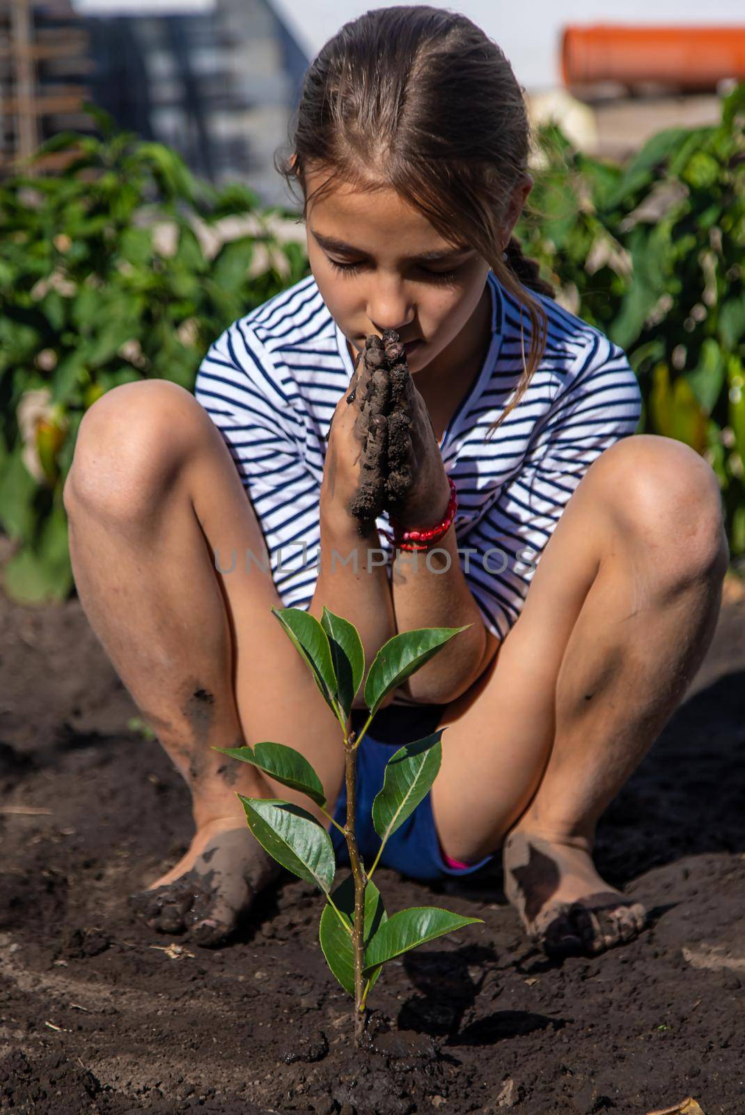 The child is planting a plant in the garden. Selective focus. by yanadjana