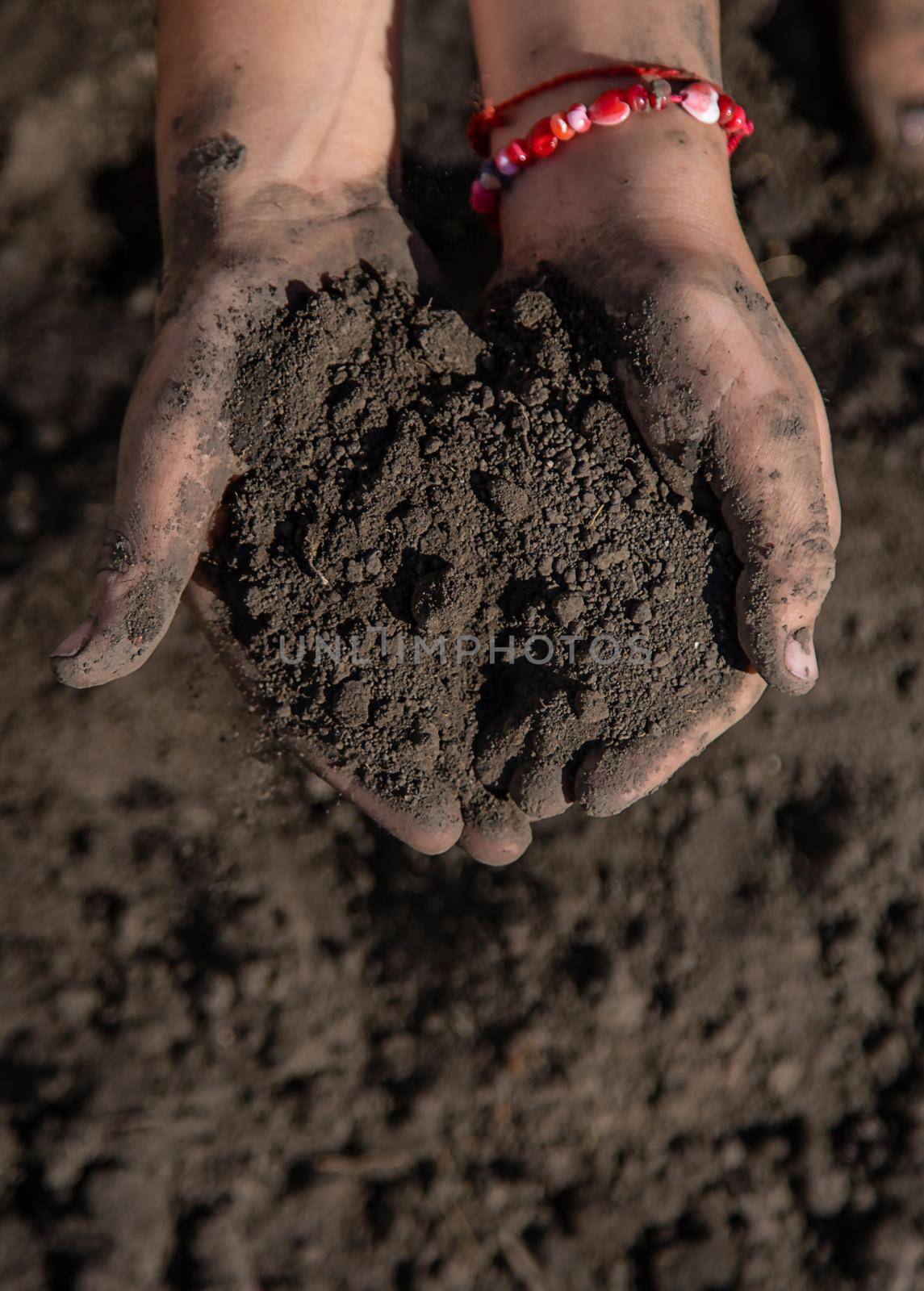 The child holds soil in the garden. Selective focus. kid.