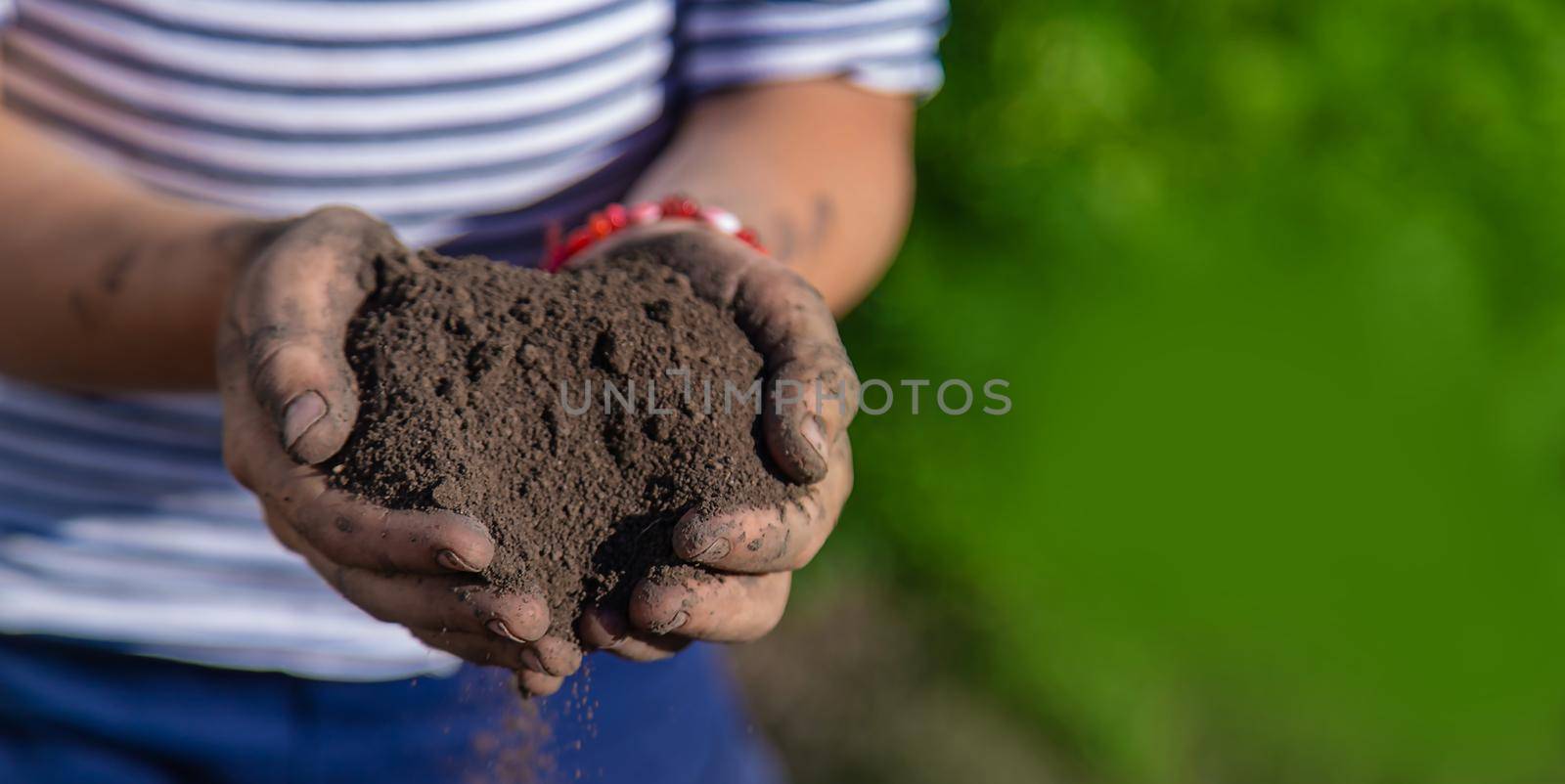 The child holds soil in the garden. Selective focus. kid.