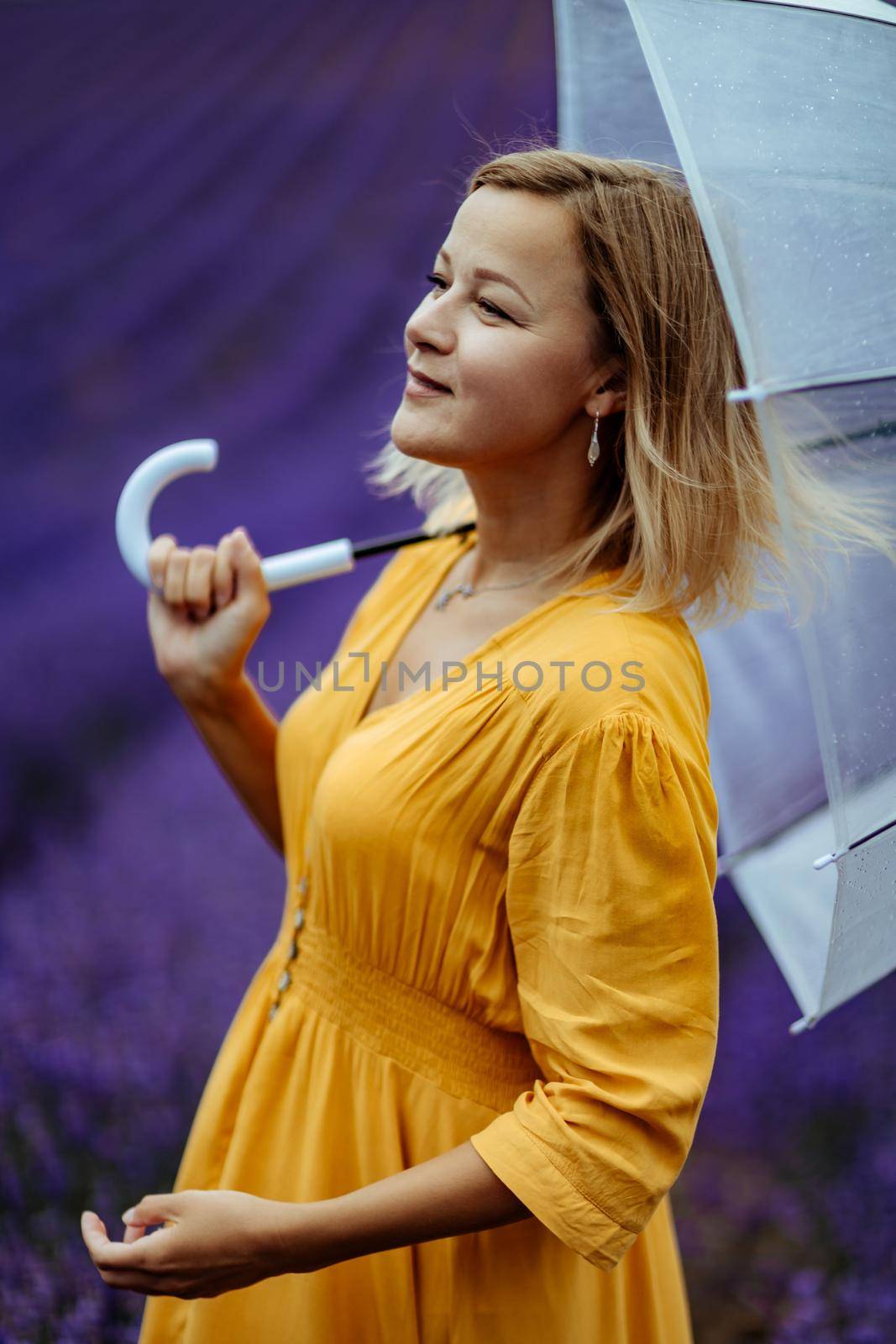 A middle-aged woman in a lavender field walks under an umbrella on a rainy day and enjoys aromatherapy. Aromatherapy concept, lavender oil, photo session in lavender.