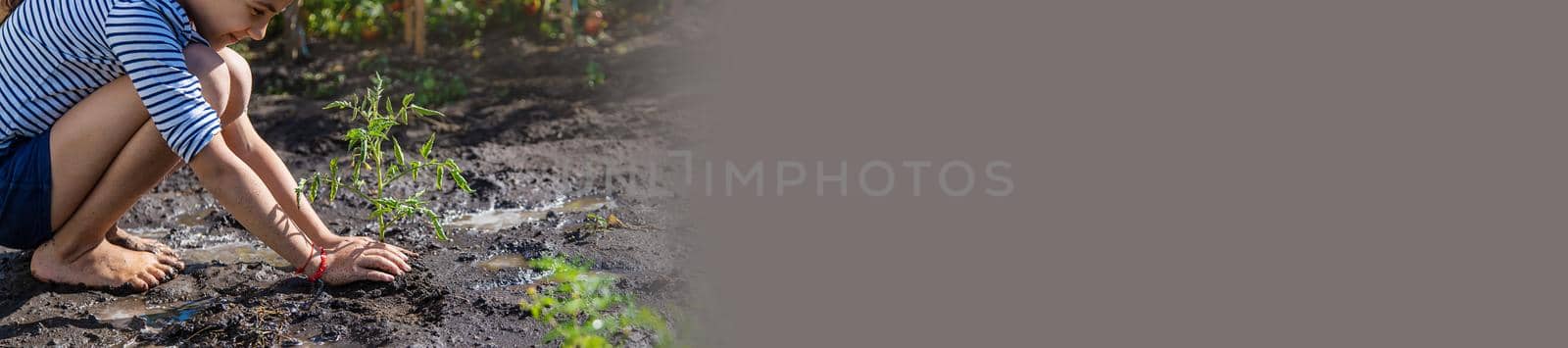 The child is planting a plant in the garden. Selective focus. by yanadjana