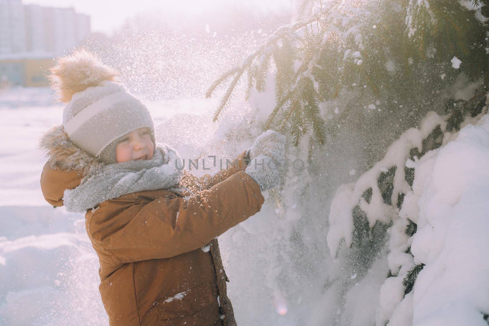 The kid shakes a branch with snow . Winter nature. An article about winter. by alenka2194