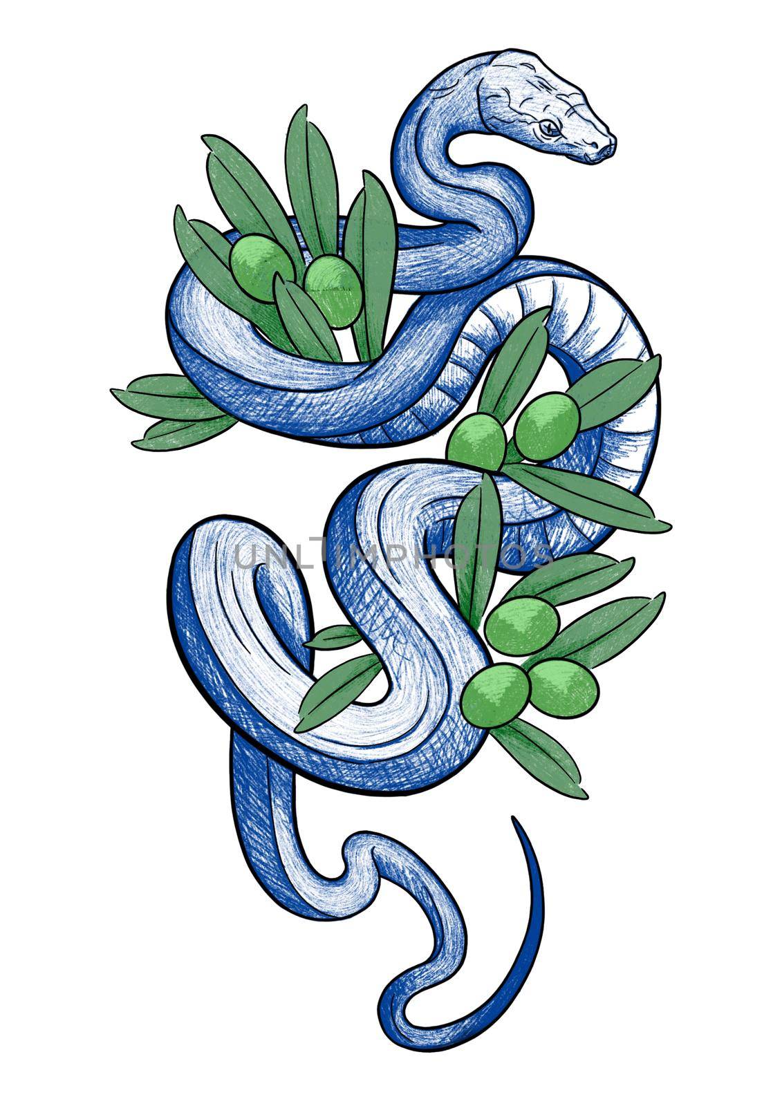 sketch of a wriggling snake with the addition of olives art