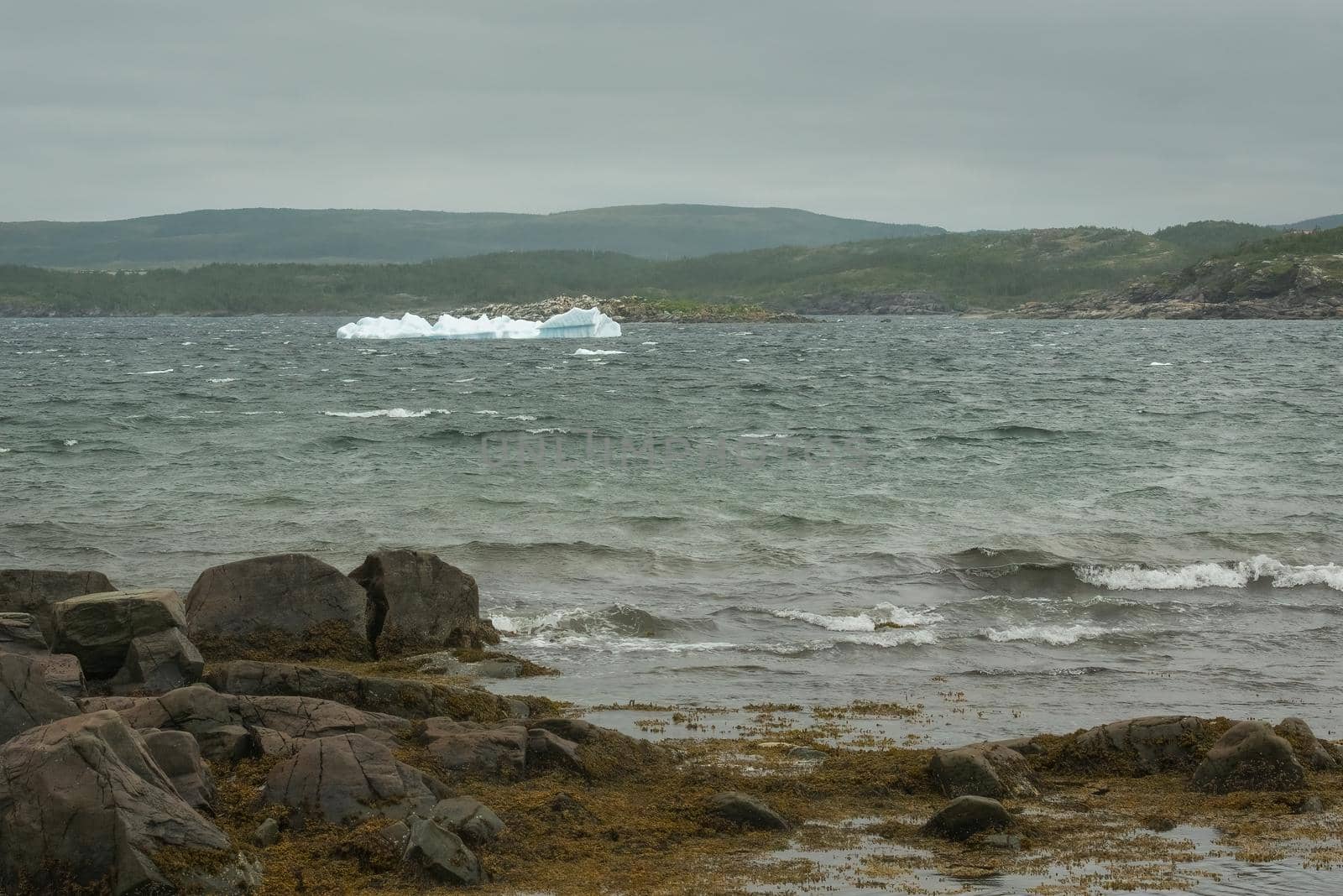 Ice Burg floats into St. Anthony's Harbor Newfoundland