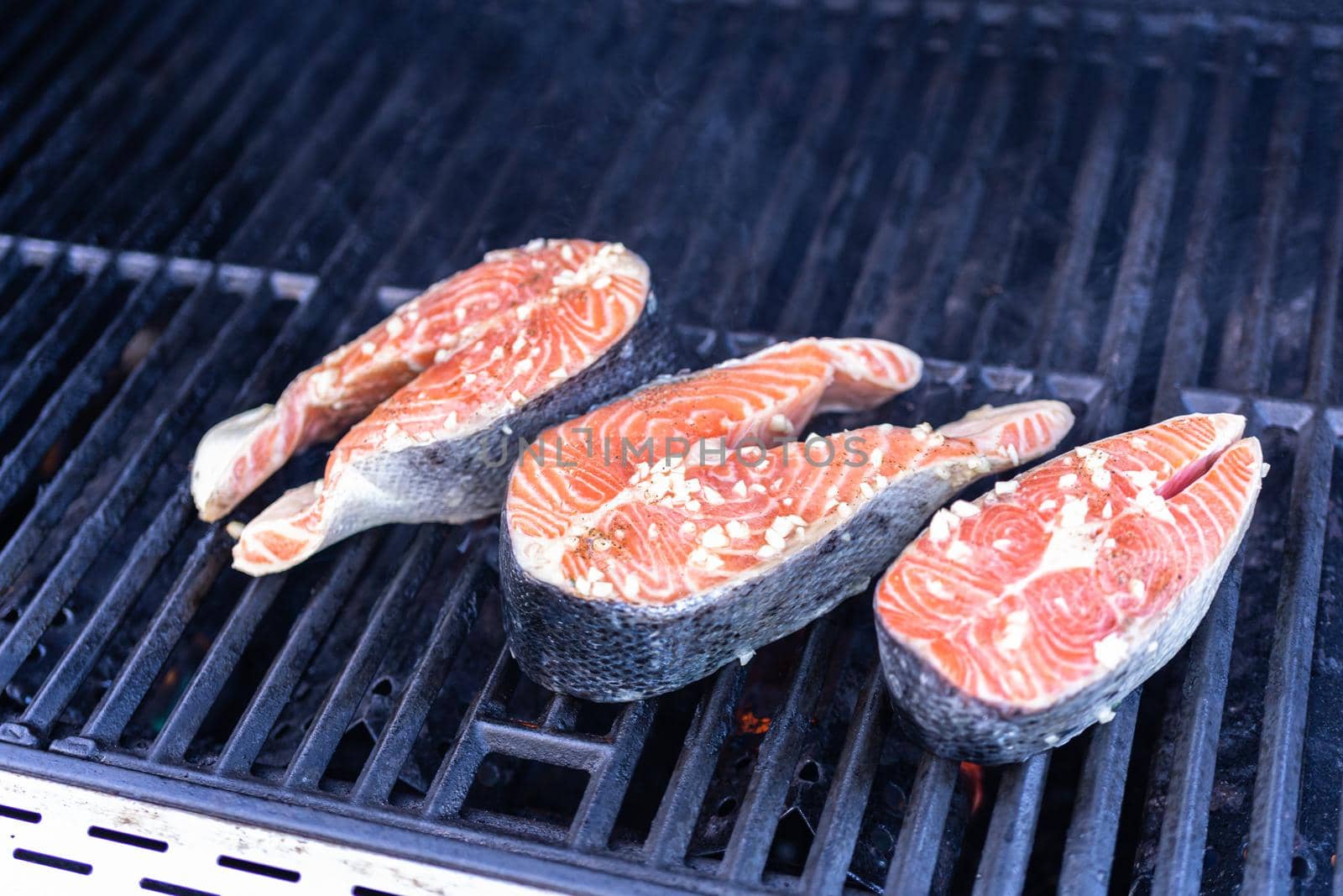 Salmon Steak by arinahabich