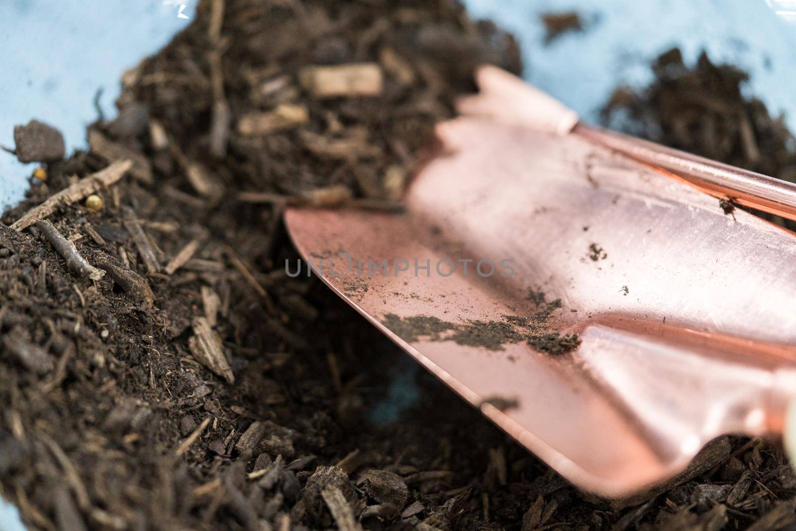 Planting seeds into seed starter tray for an indoor garden.