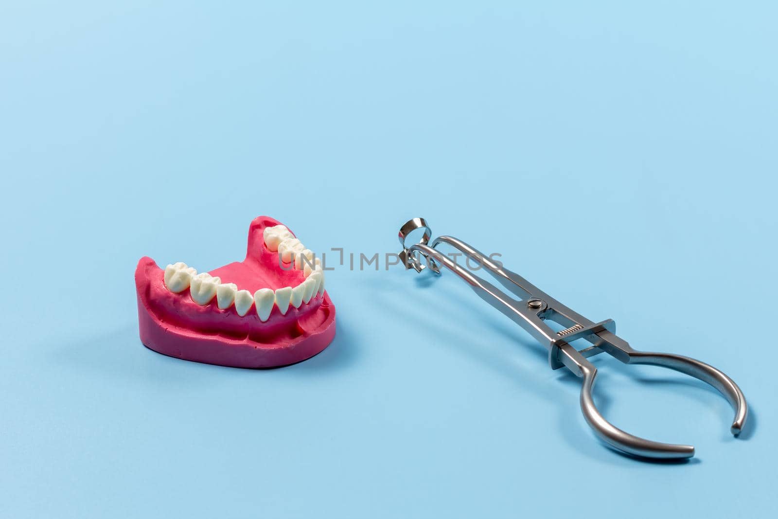 Layout of the human jaw and the rubber dam clamp forceps with the clamp on the blue background. Medical tools concept.