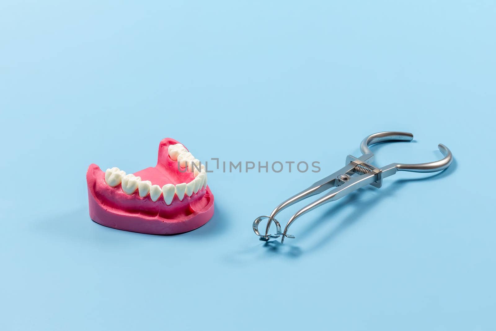 Layout of a human jaw with the rubber dam clamp forceps on the blue background. Medical tools concept.