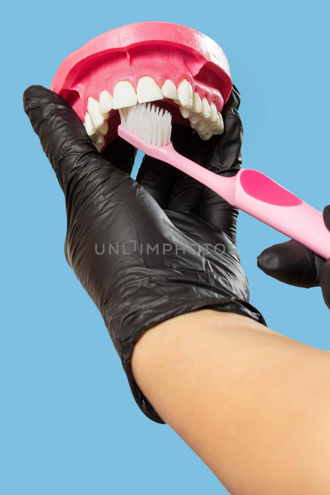 Close-up view of the dentist's hands with the human jaw layout and the toothbrush.