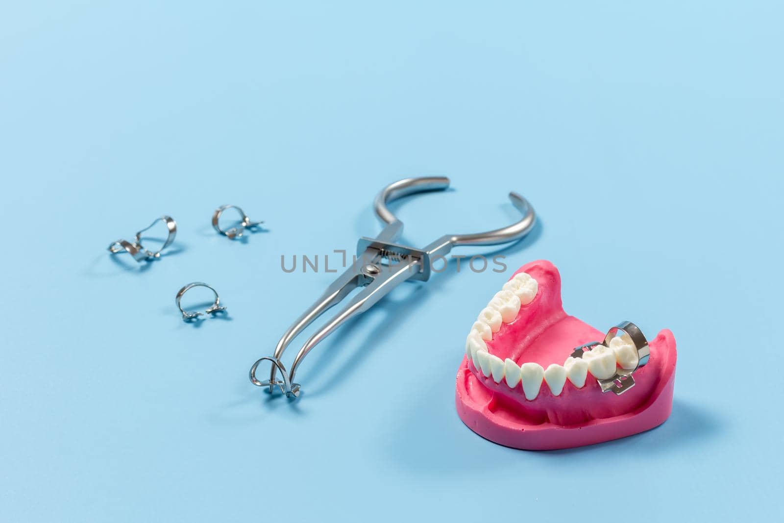 Layout of a human jaw with the rubber dam forceps and the clamps on the blue background. Medical tools concept.