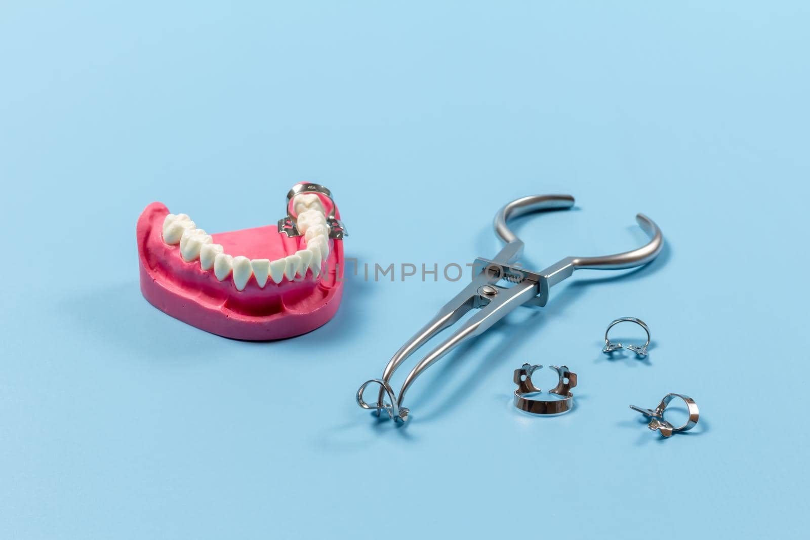 Layout of a human jaw with the rubber dam forceps and the clamps on the blue background. Medical tools concept.