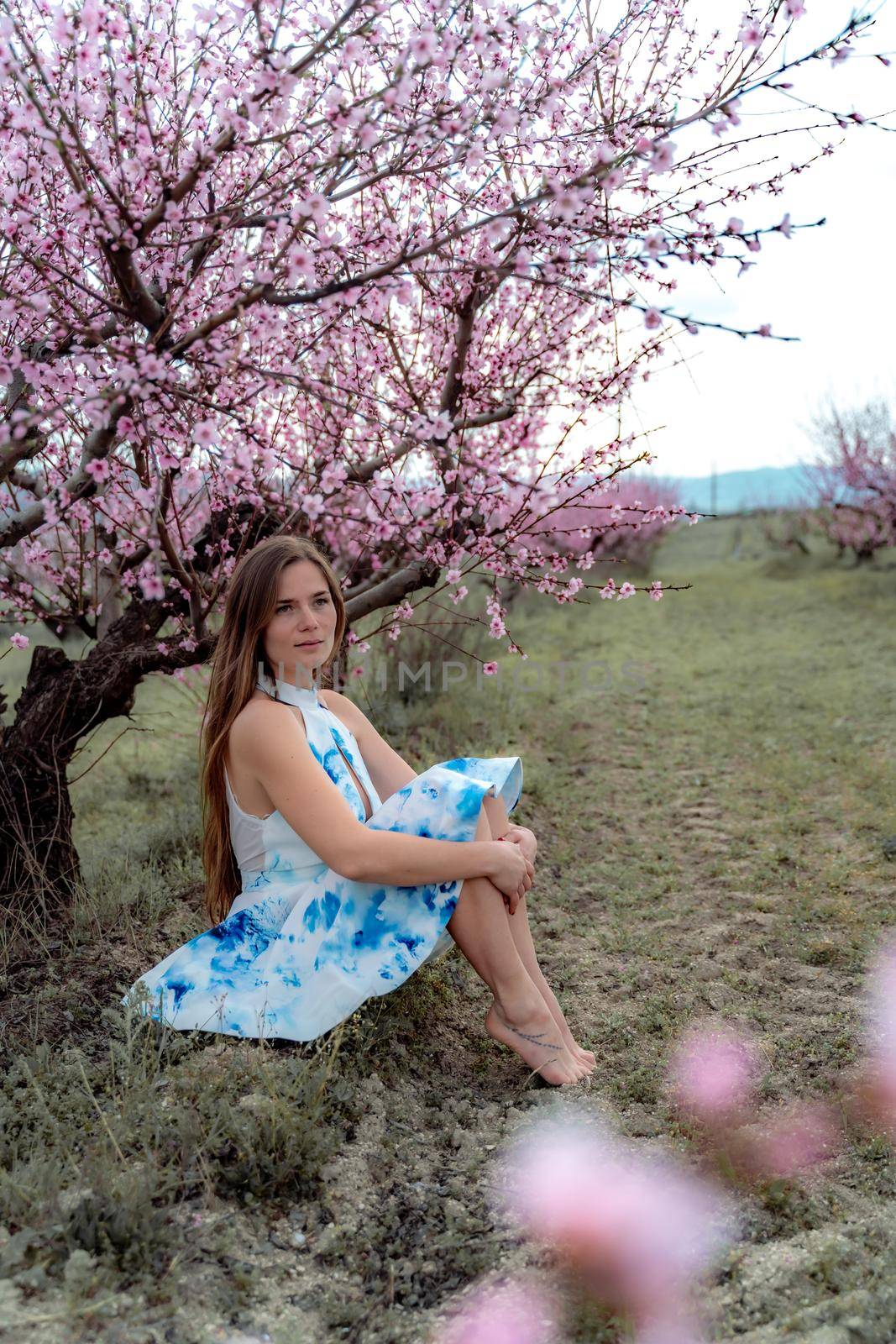 Young beautiful woman in blue dress and long hair is enjoying with blossoming peach trees by Matiunina