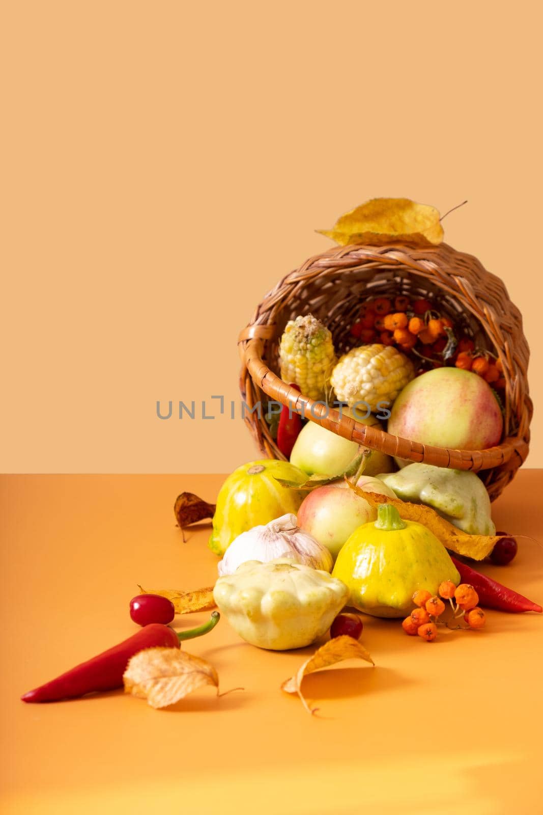 Autumn harvest basket with corn, apples, zucchini and peppers. Still life composition by ssvimaliss