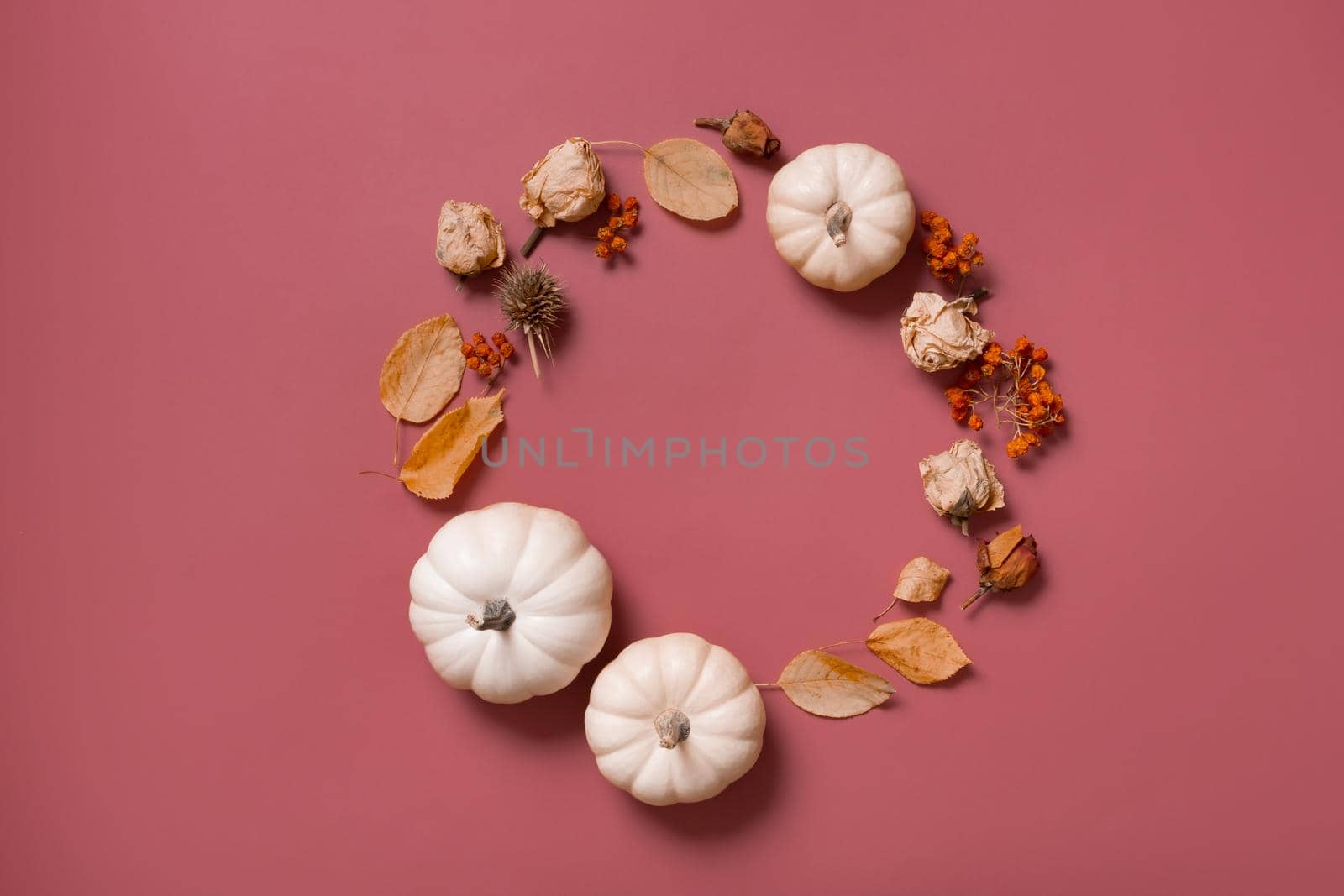 Autumn flat lay wreath of pumpkin, leaves and flowers with berries top view with copy space by ssvimaliss
