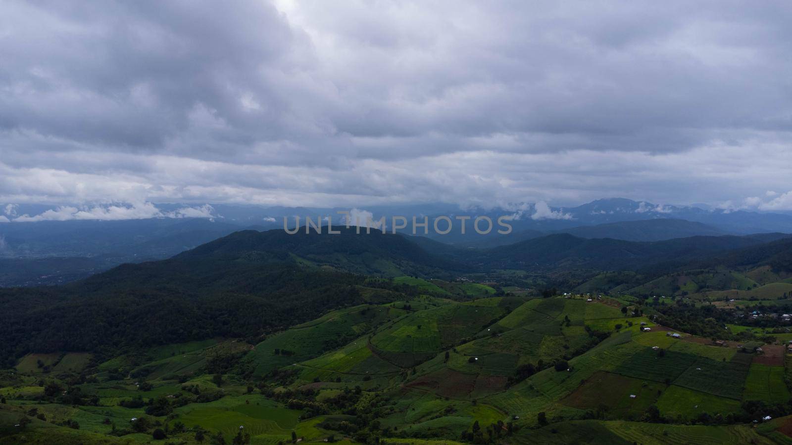 Aerial view of green wave fields with mountains and cloudy sky in rainy season. Beautiful green area of young rice fields or agricultural land in northern Thailand. Natural landscape background. by TEERASAK