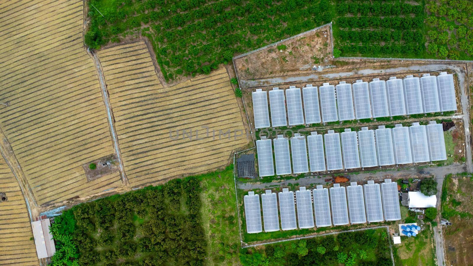 Aerial view of an environmentally friendly building or factory consisting of solar panels or photovoltaic panels on the roof. Technology to generate electrical power. Sustainable energy for the future by TEERASAK